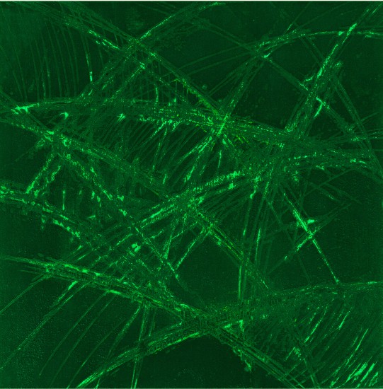 Maria Krasnodębska, Ślady pejzażu zapamiętanego III, odprysk kredkowy, 50x50cm,2017